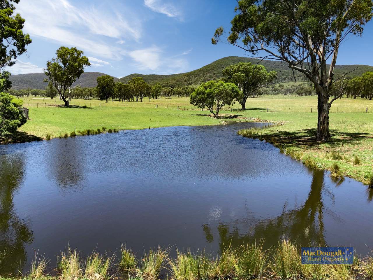 384 Dry Creek Road, Georges Creek For Sale by Farmbuy.com - image 4