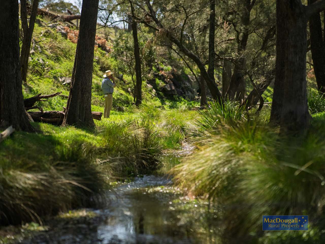 384 Dry Creek Road, Georges Creek For Sale by Farmbuy.com - image 24