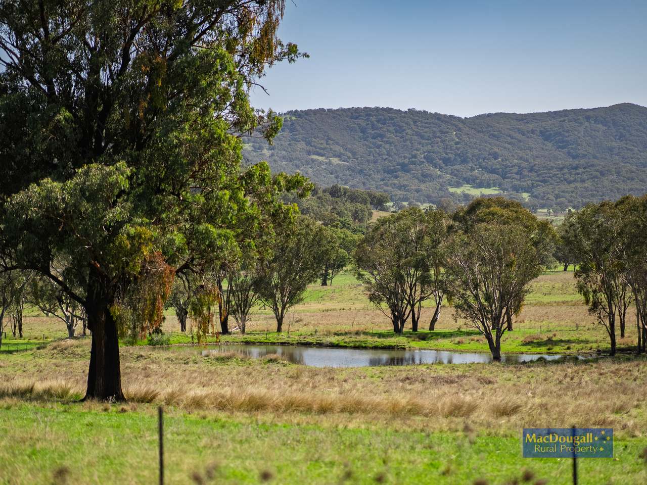 384 Dry Creek Road, Georges Creek For Sale by Farmbuy.com - image 25