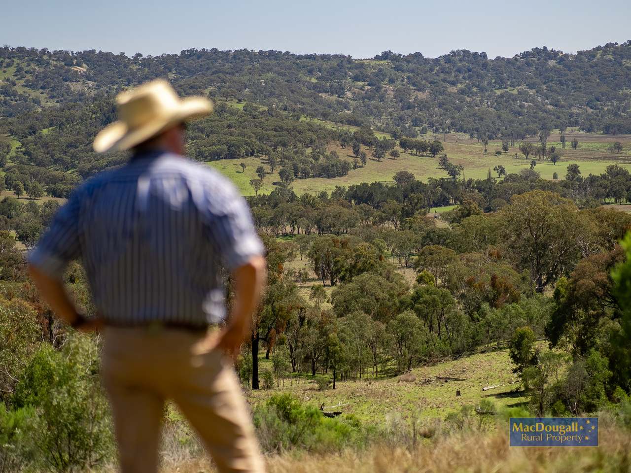 384 Dry Creek Road, Georges Creek For Sale by Farmbuy.com - image 22