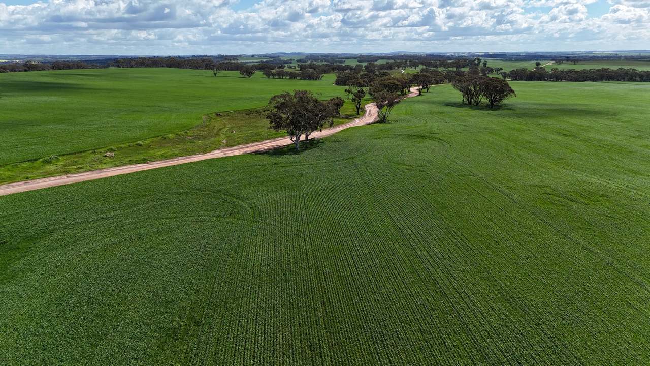 Glentromie-Yerecoin Road, Yerecoin For Sale by Farmbuy.com - image 10