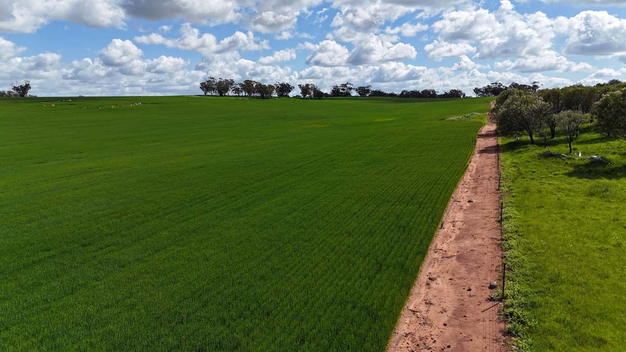 Glentromie-Yerecoin Road, Yerecoin For Sale by Farmbuy.com - image 9