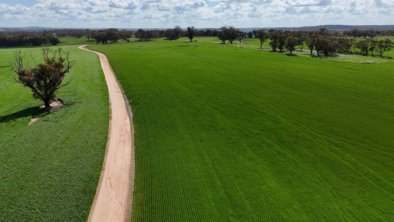 Glentromie-Yerecoin Road, Yerecoin For Sale by Farmbuy.com - image 8