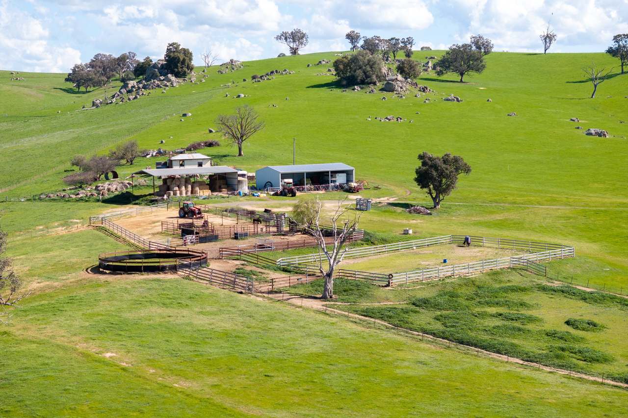 474 Spring Dam Road,  Coolac Auction by Farmbuy.com - image 14