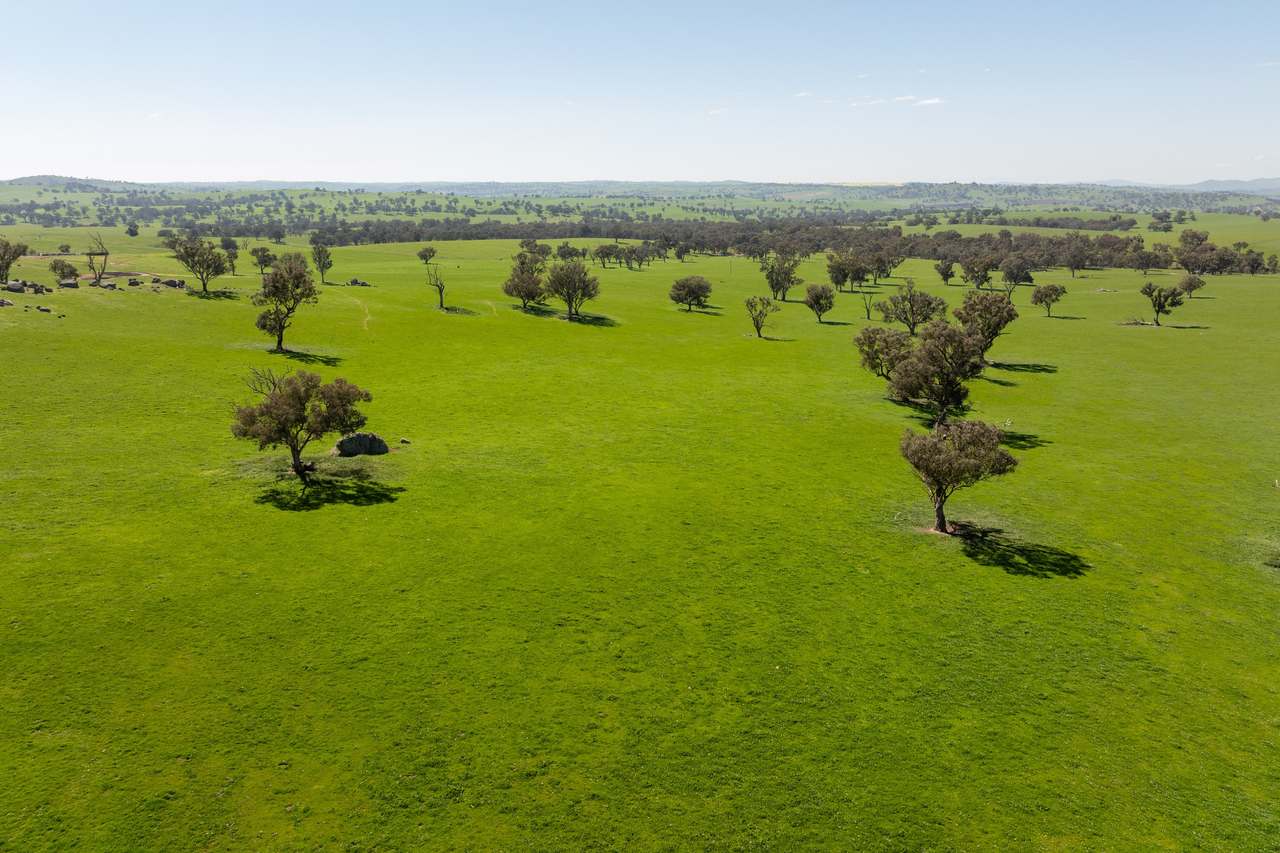 474 Spring Dam Road,  Coolac Auction by Farmbuy.com - image 5