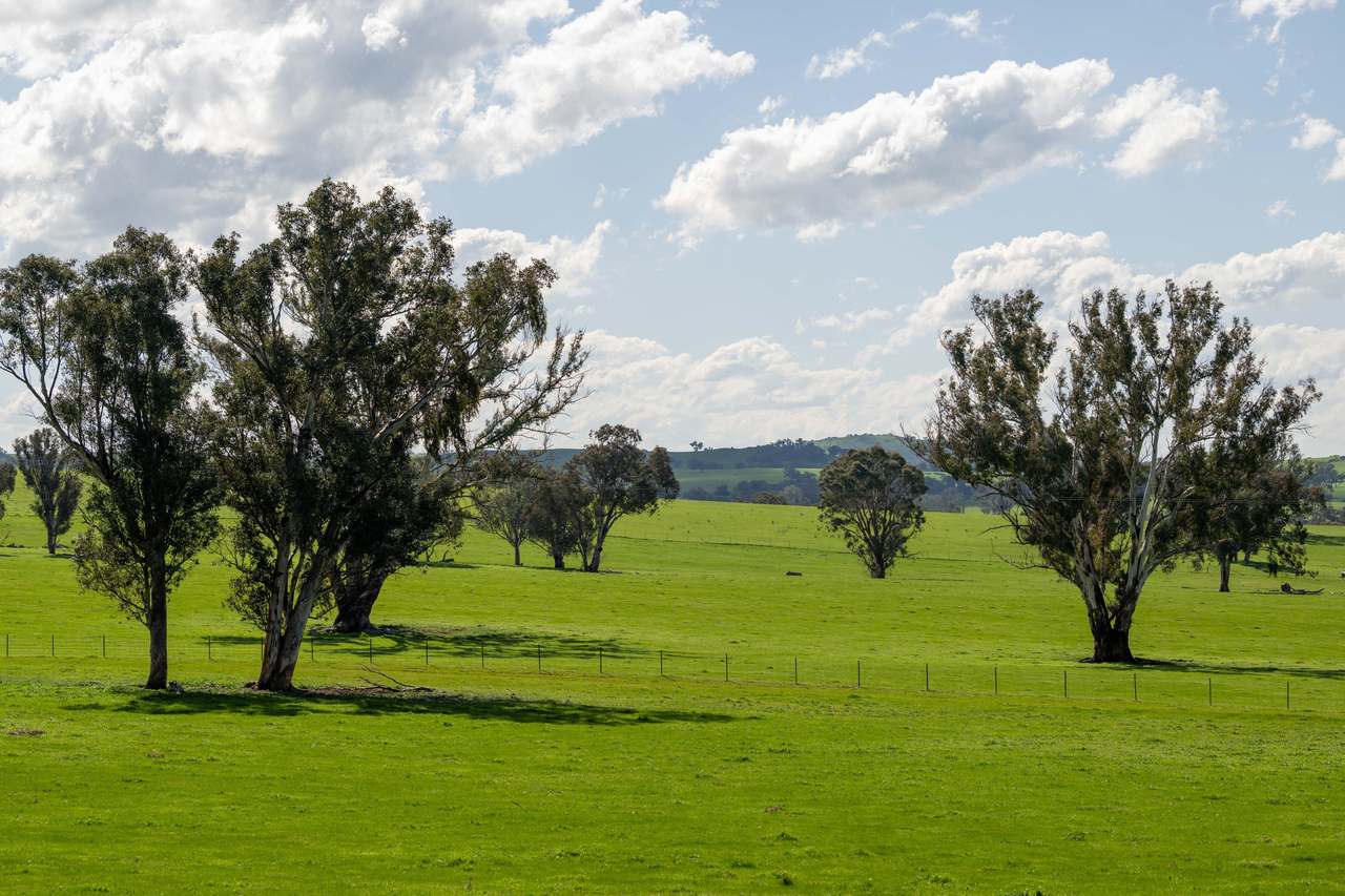 474 Spring Dam Road,  Coolac Auction by Farmbuy.com - image 9