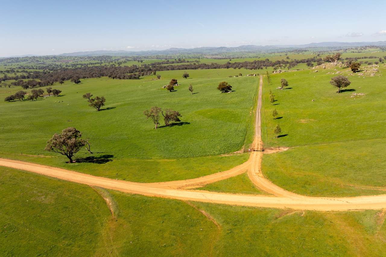 474 Spring Dam Road,  Coolac Auction by Farmbuy.com - image 12