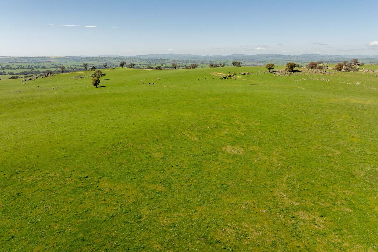 474 Spring Dam Road,  Coolac Auction by Farmbuy.com - image 11