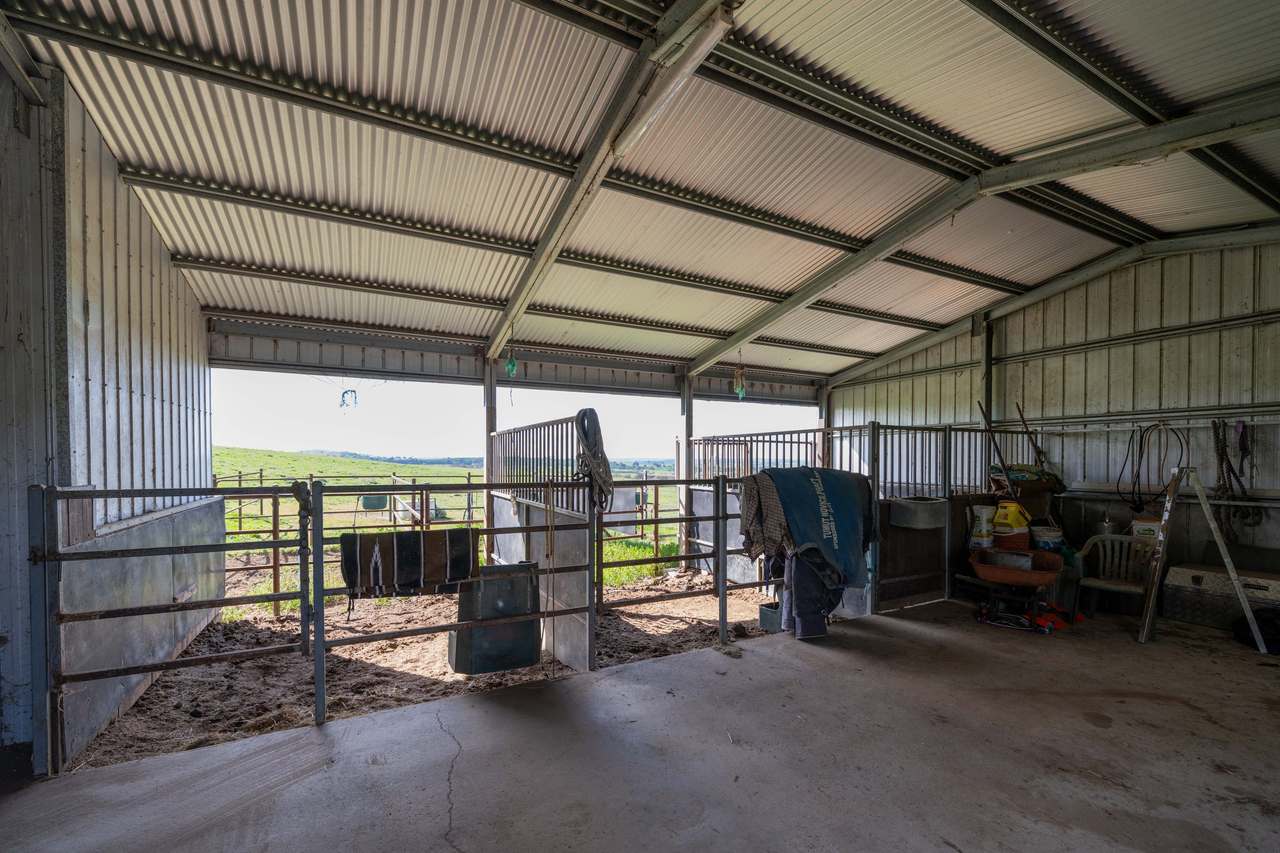 474 Spring Dam Road,  Coolac Auction by Farmbuy.com - image 16