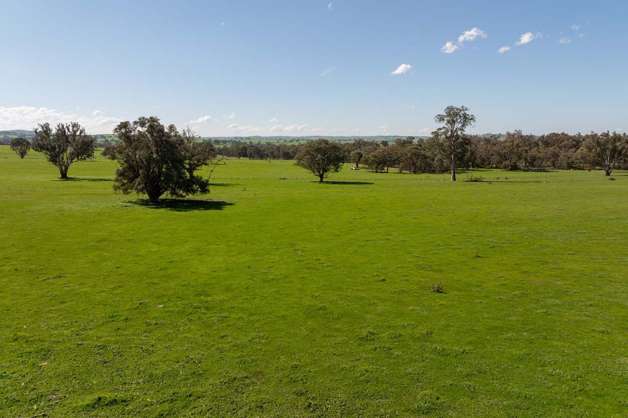 474 Spring Dam Road,  Coolac Auction by Farmbuy.com - image 8