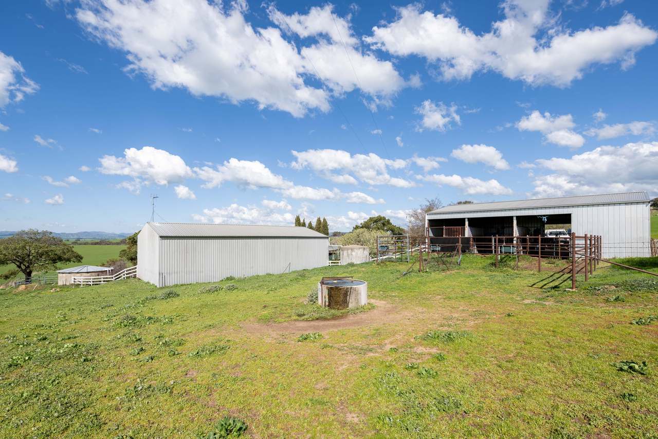 474 Spring Dam Road,  Coolac Auction by Farmbuy.com - image 15