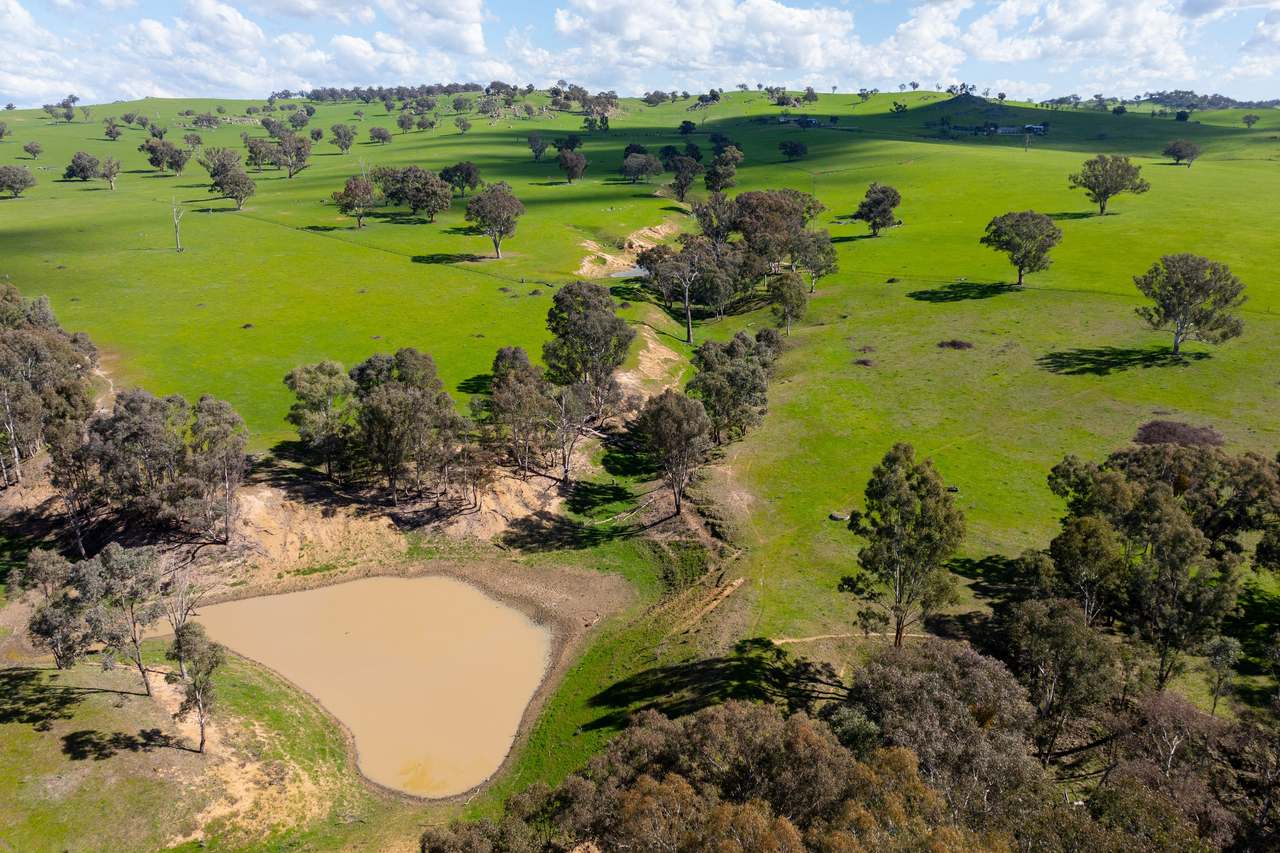 474 Spring Dam Road,  Coolac Auction by Farmbuy.com - image 13