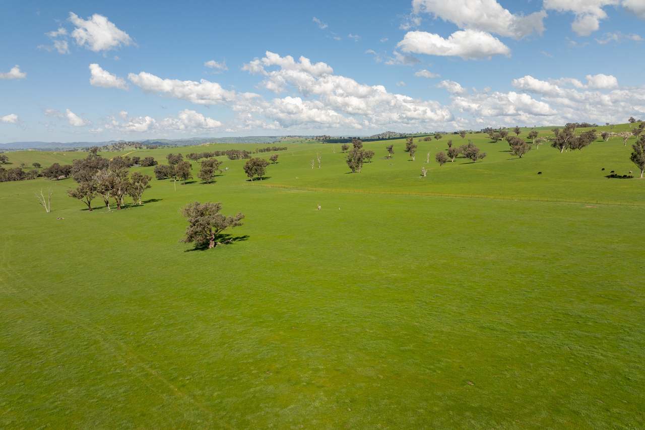 474 Spring Dam Road,  Coolac Auction by Farmbuy.com - image 6