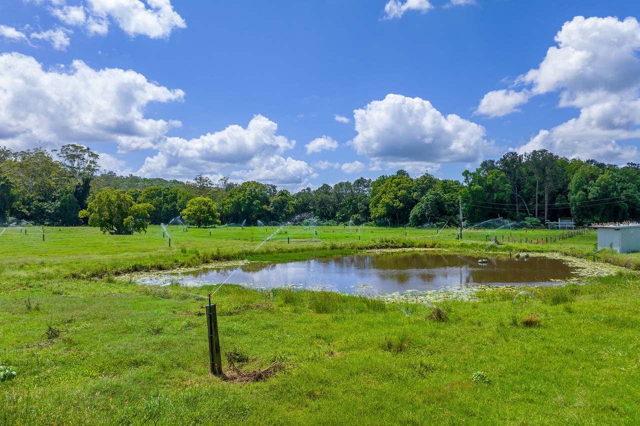 4015 Mary Valley Road, Brooloo, QLD, 4570, AU, Brooloo For Sale by Farmbuy.com - image 3
