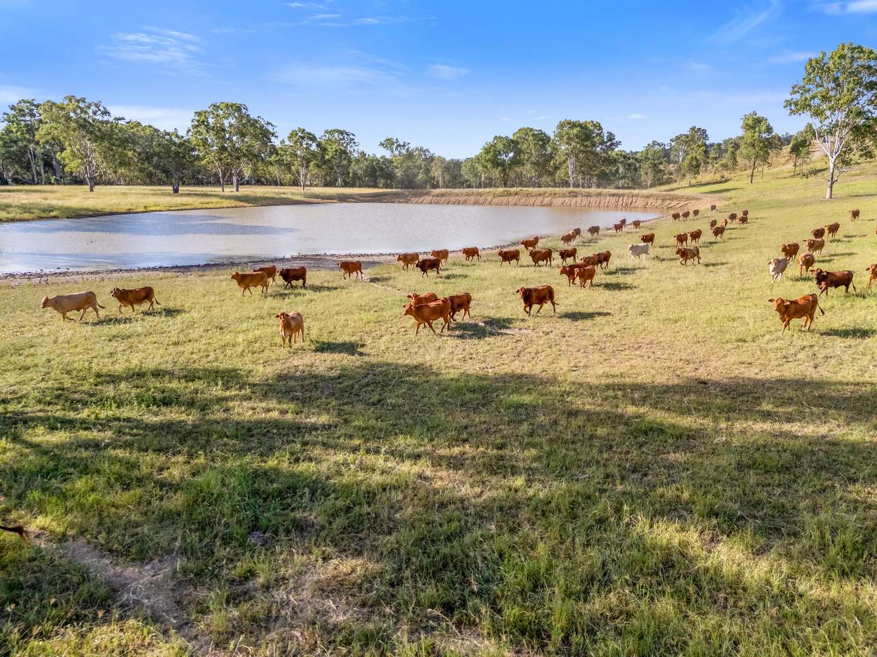 8321 Brisbane Valley Highway, Harlin For Sale by Farmbuy.com - image 17