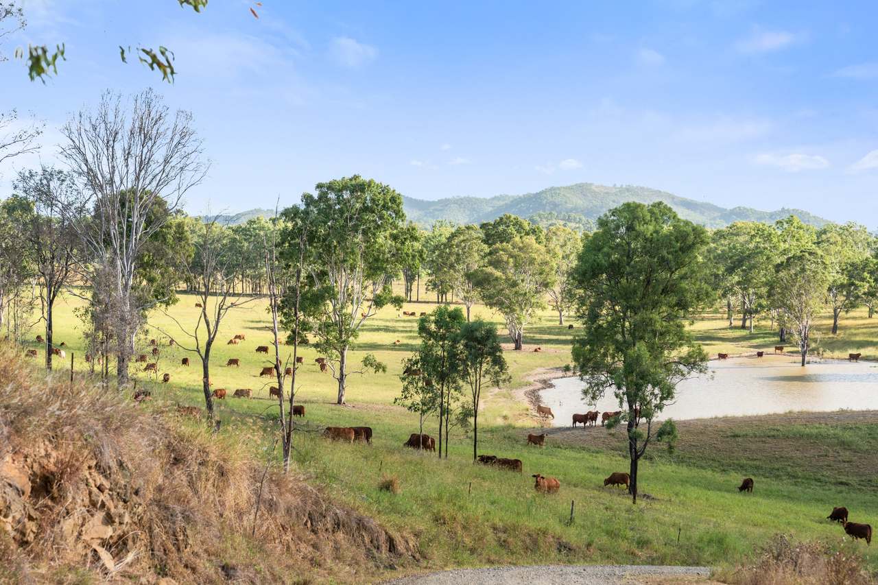8321 Brisbane Valley Highway, Harlin For Sale by Farmbuy.com - image 19