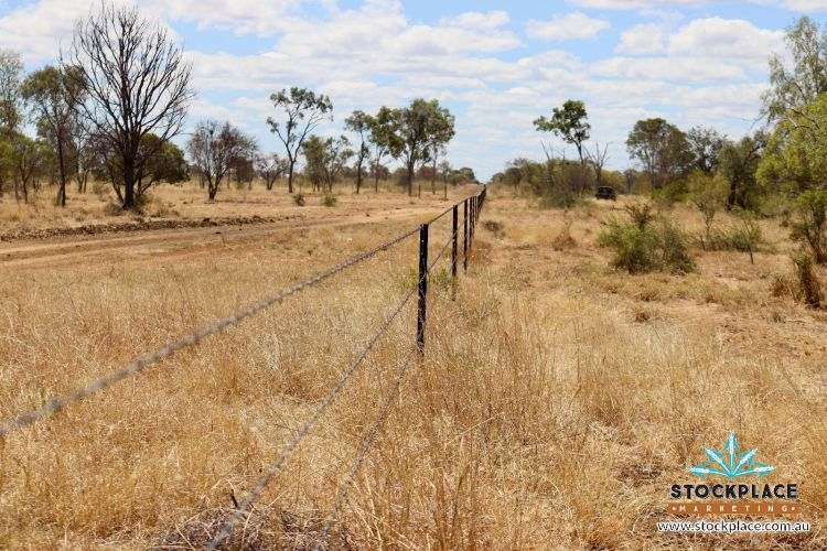 "Glendower", Prairie Auction by Farmbuy.com - image 27