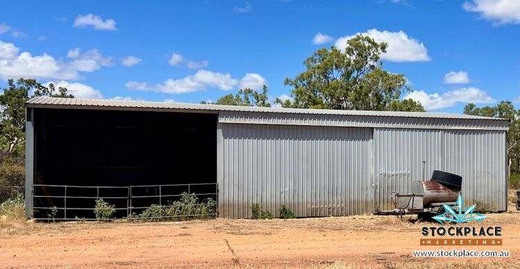 "Glendower", Prairie Auction by Farmbuy.com - image 54