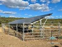 "Glendower", Prairie Auction by Farmbuy.com - image 57