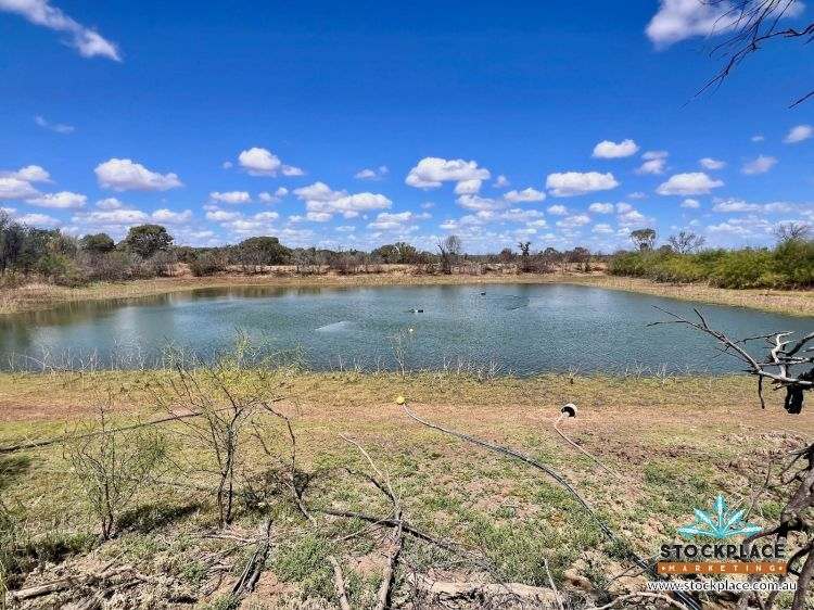 "Glendower", Prairie Auction by Farmbuy.com - image 55