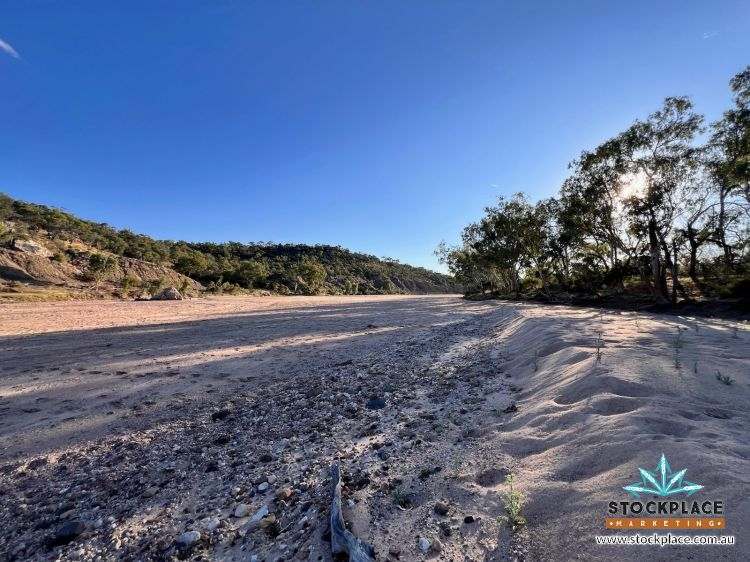 "Glendower", Prairie Auction by Farmbuy.com - image 67