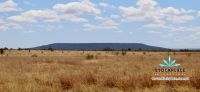 "Glendower", Prairie Auction by Farmbuy.com - image 23
