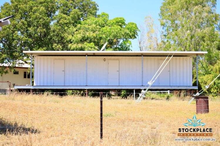 "Glendower", Prairie Auction by Farmbuy.com - image 13