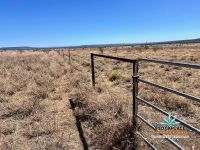 "Glendower", Prairie Auction by Farmbuy.com - image 62