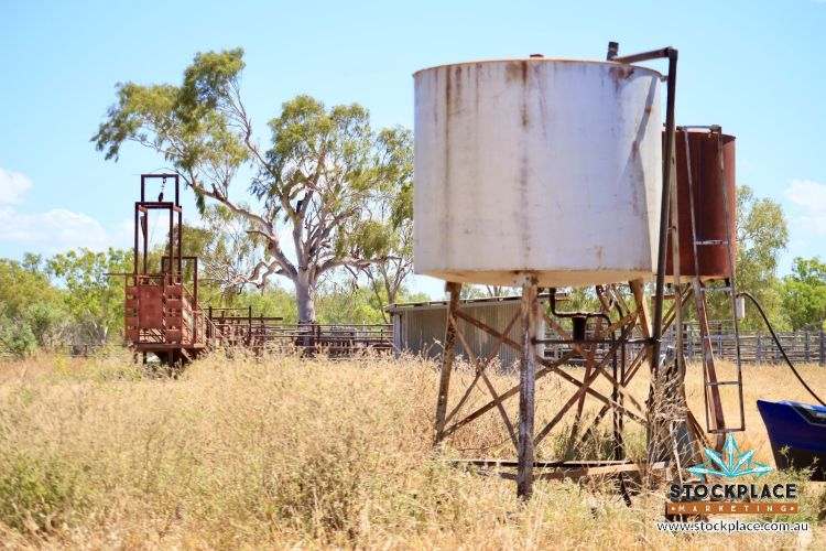 "Glendower", Prairie Auction by Farmbuy.com - image 18