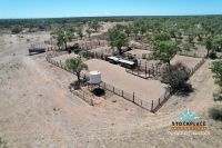 "Glendower", Prairie Auction by Farmbuy.com - image 6