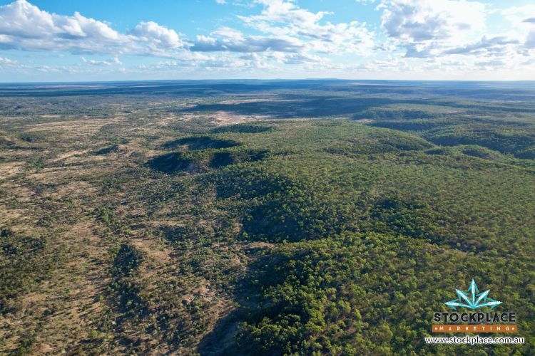 "Glendower", Prairie Auction by Farmbuy.com - image 9