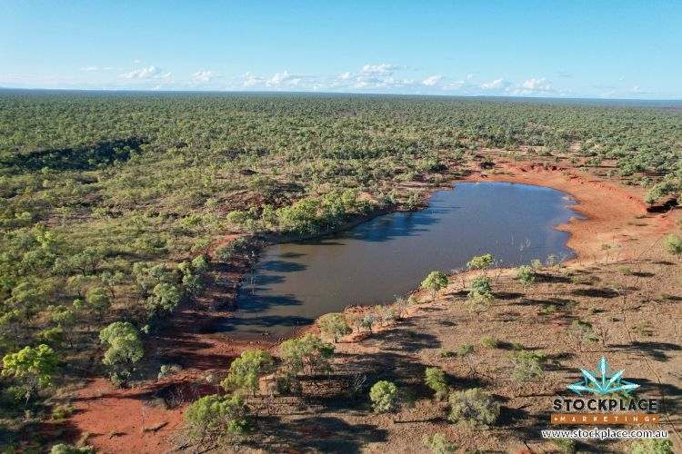 "Glendower", Prairie Auction by Farmbuy.com - image 8