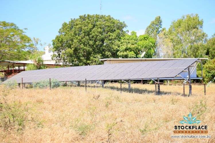 "Glendower", Prairie Auction by Farmbuy.com - image 14