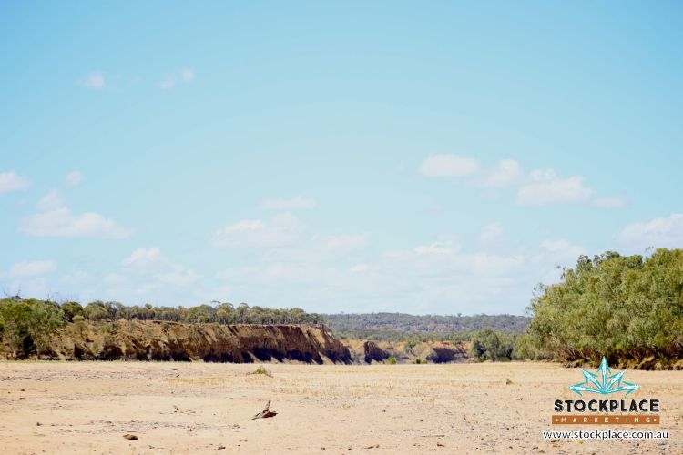 "Glendower", Prairie Auction by Farmbuy.com - image 20
