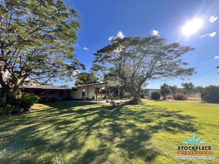 "Glendower", Prairie Auction by Farmbuy.com - image 66