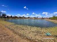 "Glendower", Prairie Auction by Farmbuy.com - image 56