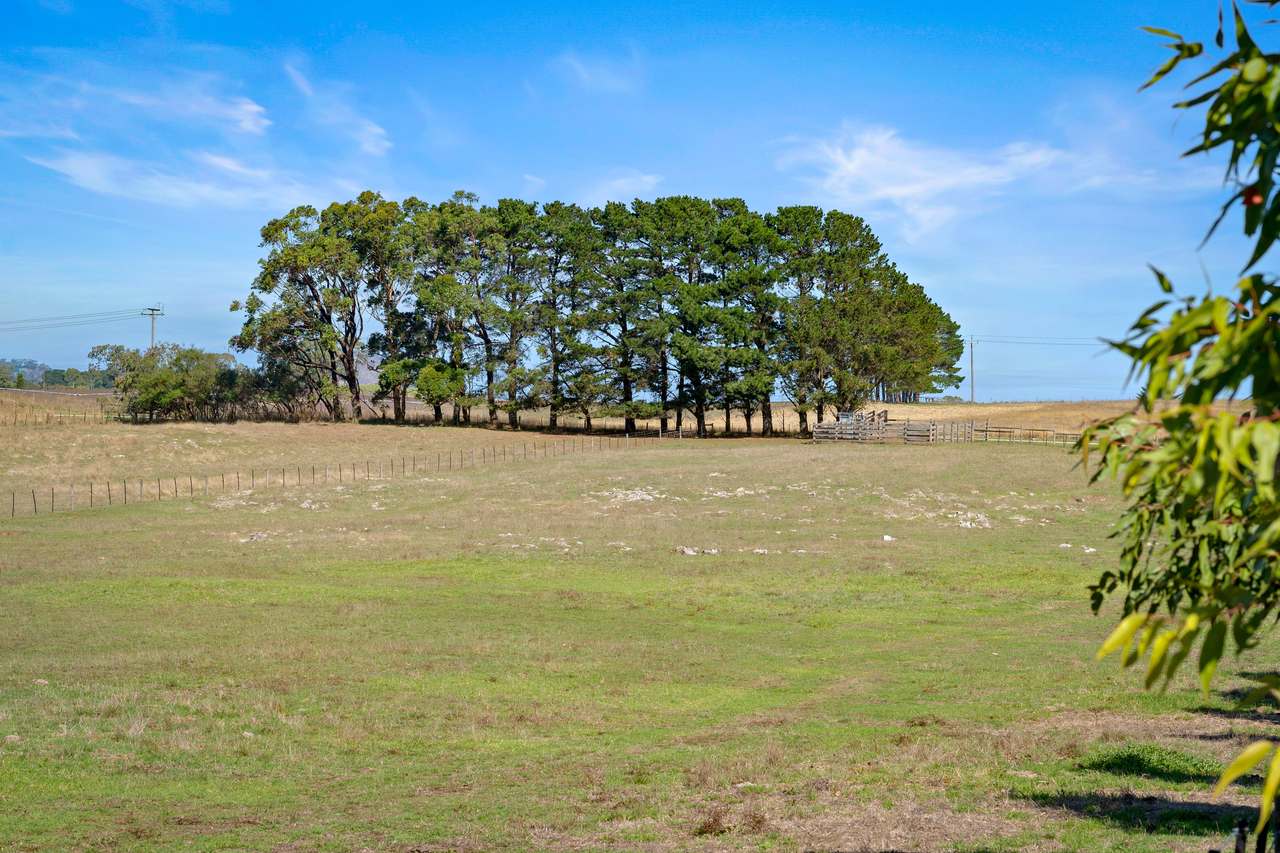 51 Stevenson Road, Suttontown  For Sale by Farmbuy.com - image 11