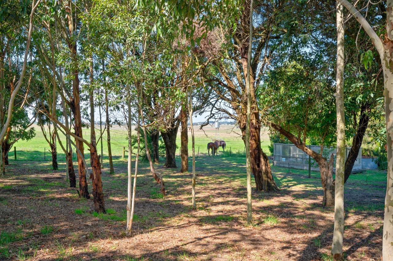 51 Stevenson Road, Suttontown  For Sale by Farmbuy.com - image 34