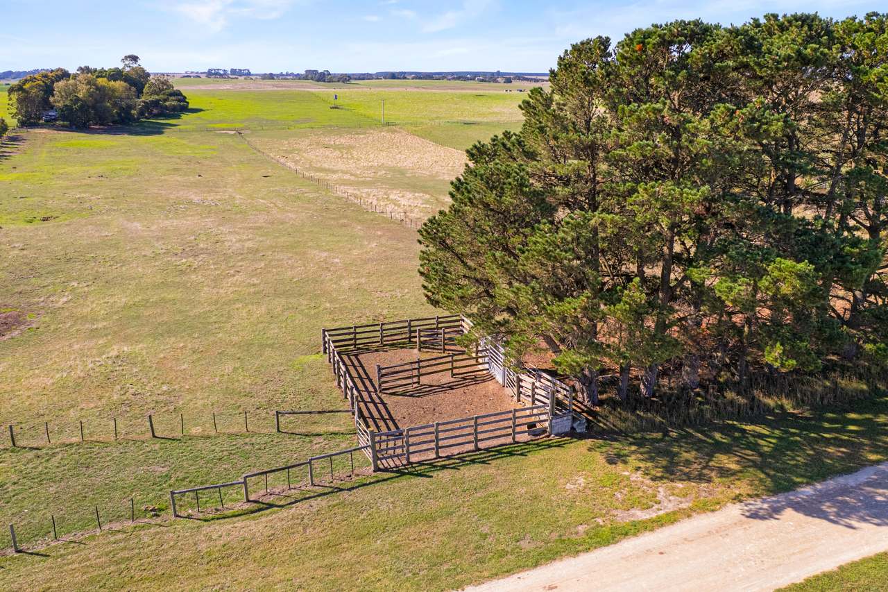 51 Stevenson Road, Suttontown  For Sale by Farmbuy.com - image 8