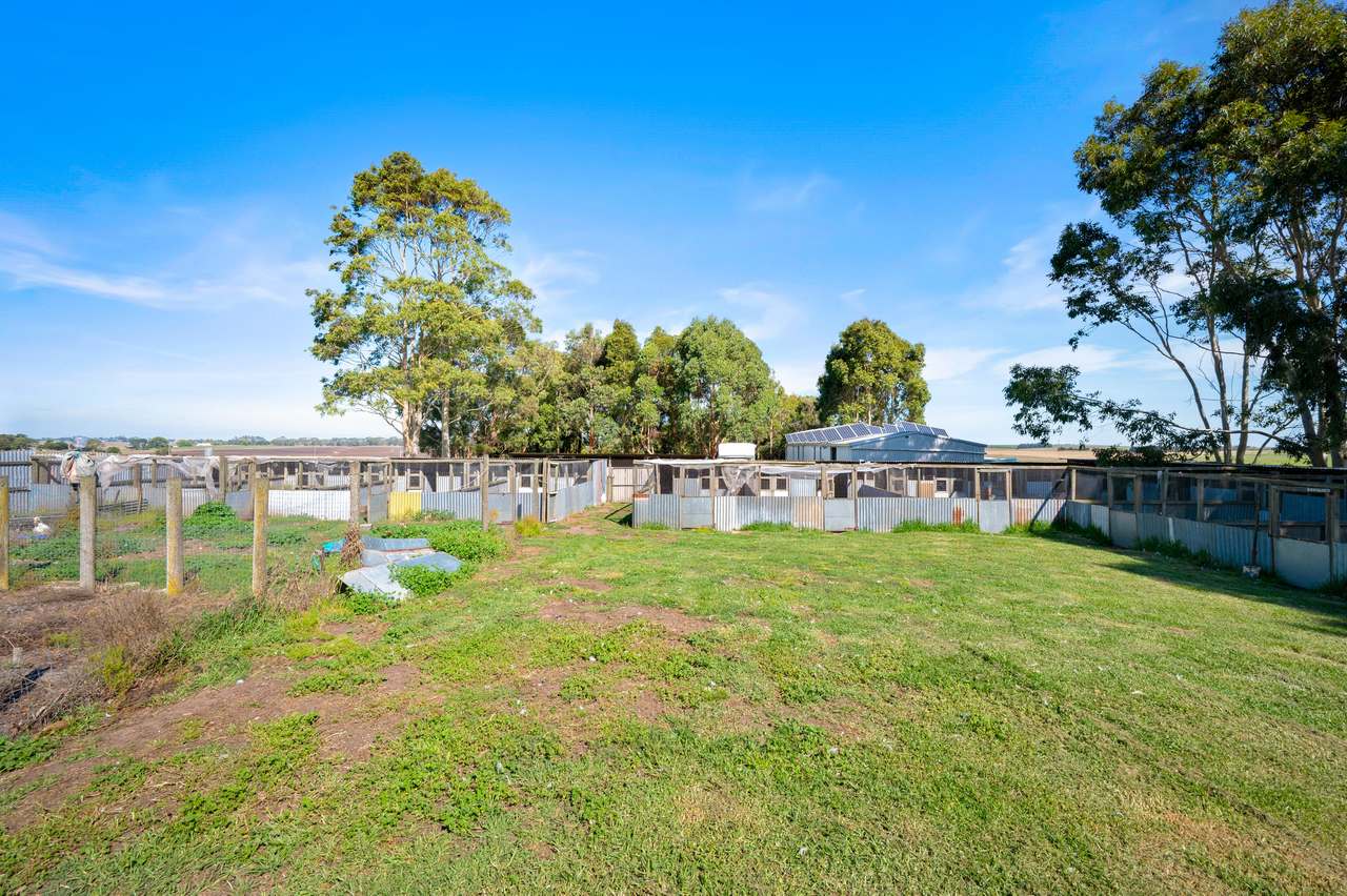 51 Stevenson Road, Suttontown  For Sale by Farmbuy.com - image 16