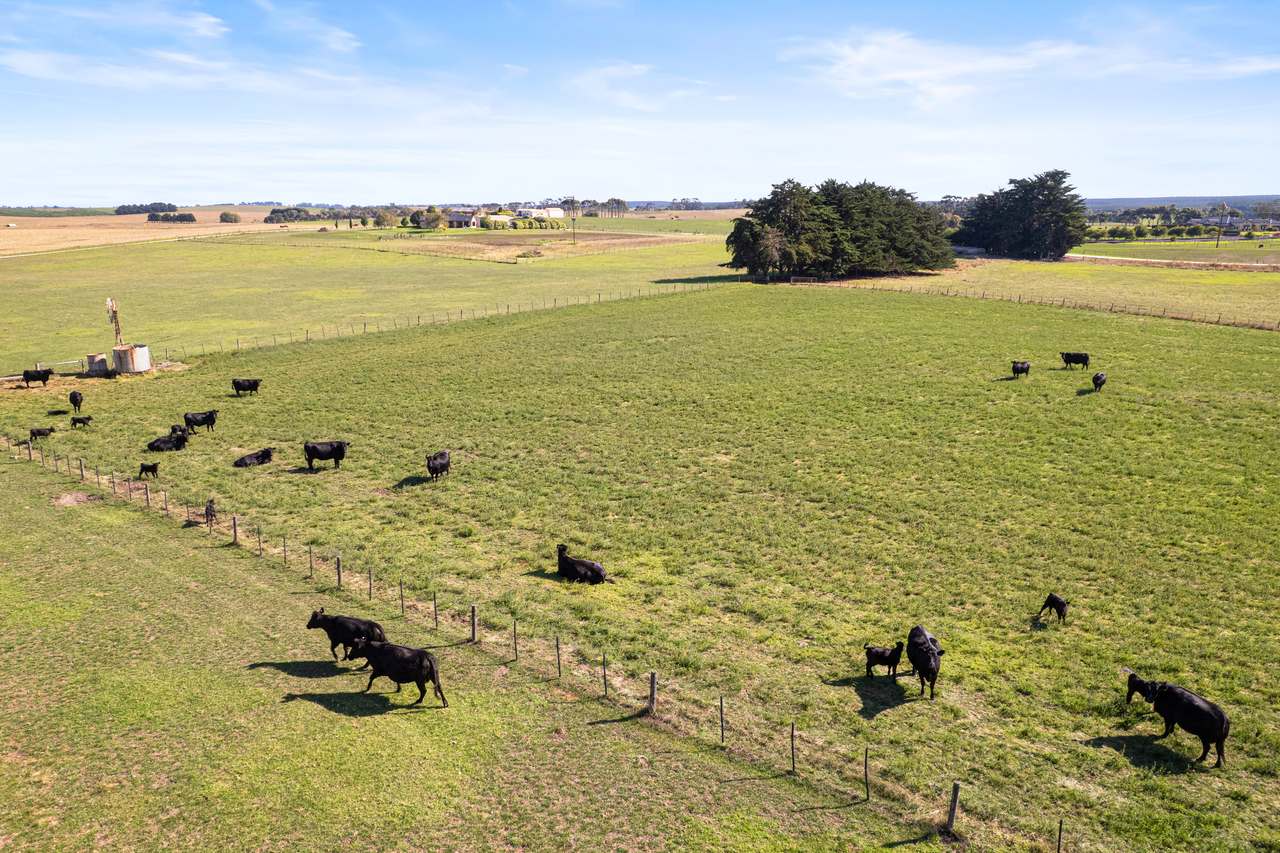 51 Stevenson Road, Suttontown  For Sale by Farmbuy.com - image 7