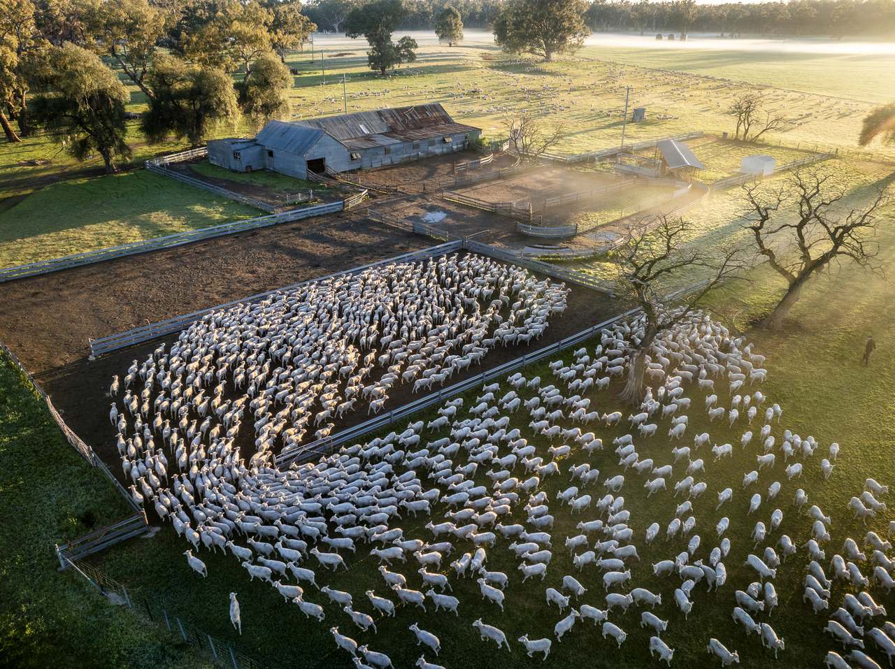 3688 Sturt Highway, Collingullie For Sale by Farmbuy.com - image 2