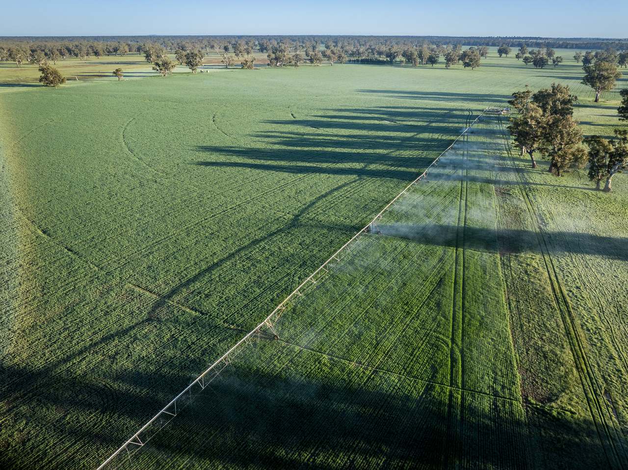 3688 Sturt Highway, Collingullie For Sale by Farmbuy.com - image 3