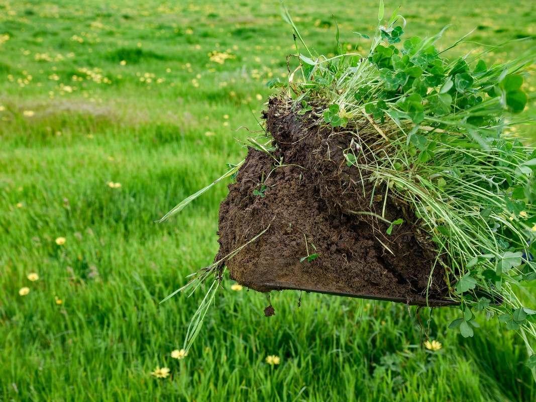 1052 Meyers Road, Cape Douglas For Sale by Farmbuy.com - image 9