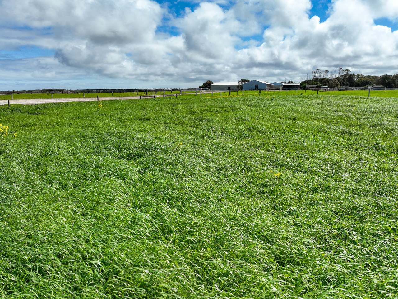 299 Spehrs Road, Nene Valley For Sale by Farmbuy.com - image 12