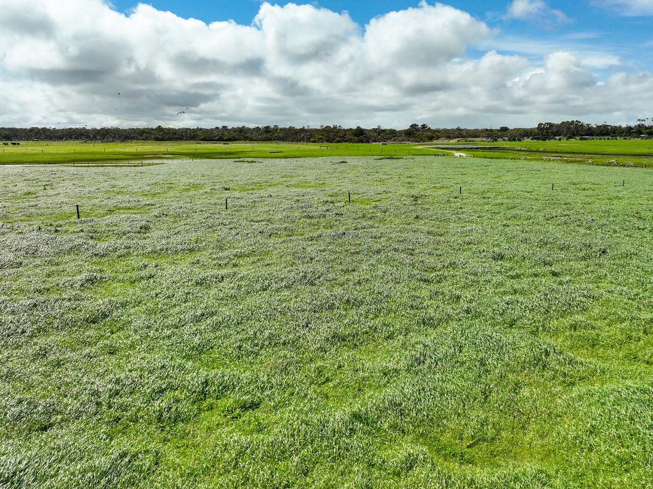 299 Spehrs Road, Nene Valley For Sale by Farmbuy.com - image 9