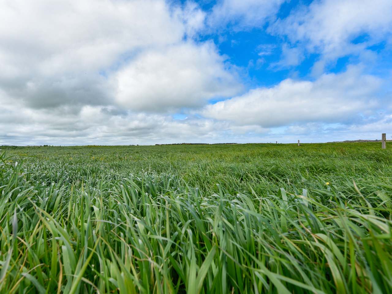 299 Spehrs Road, Nene Valley For Sale by Farmbuy.com - image 8