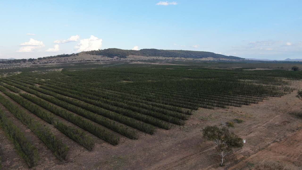 12605 Eidsvold Theodore Road, Camboon Auction by Farmbuy.com - image 7