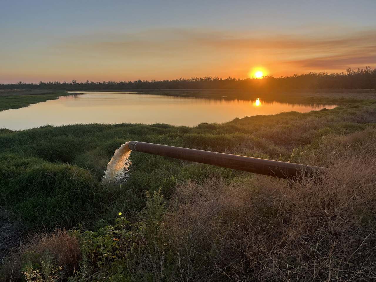 12605 Eidsvold Theodore Road, Camboon Auction by Farmbuy.com - image 20