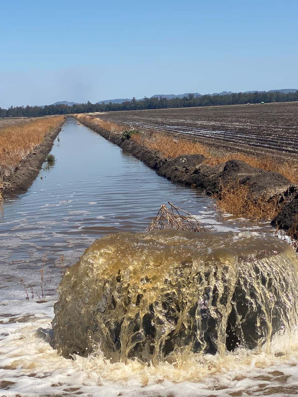 12605 Eidsvold Theodore Road, Camboon Auction by Farmbuy.com - image 18